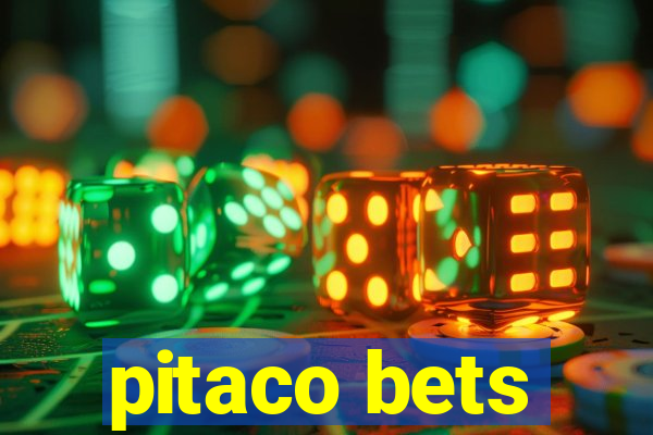 pitaco bets